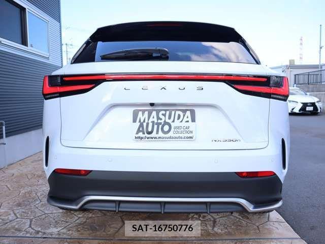 Lexus NX 2023-11 326605-5