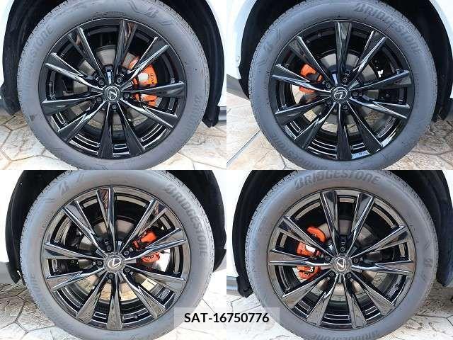 Lexus NX 2023-11 326605-29
