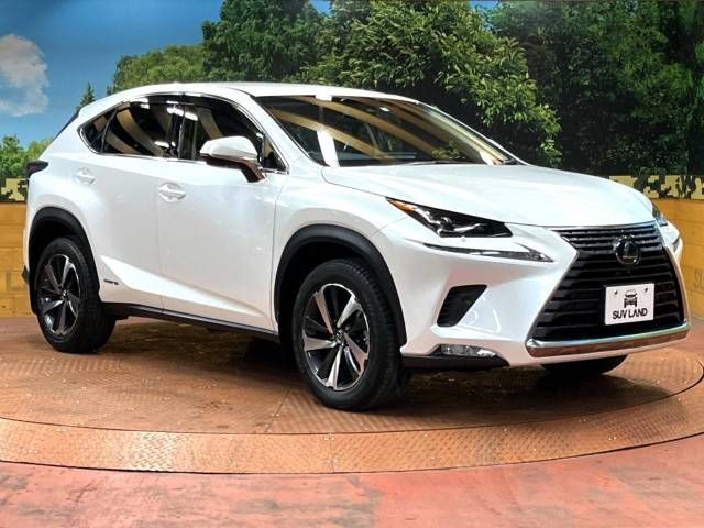 Lexus NX 2018-06 189114-16
