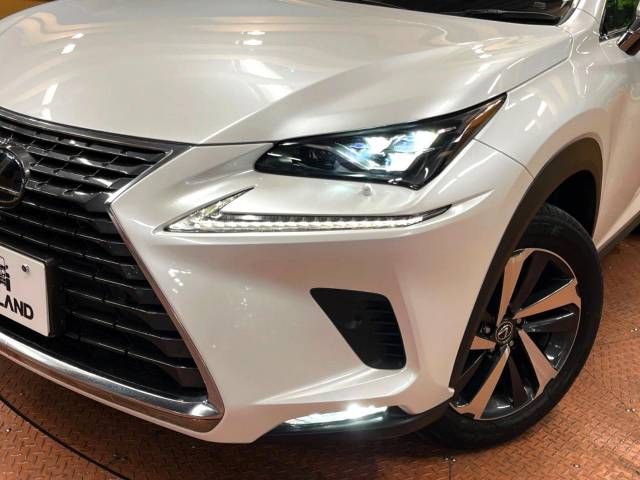 Lexus NX 2018-06 189114-12
