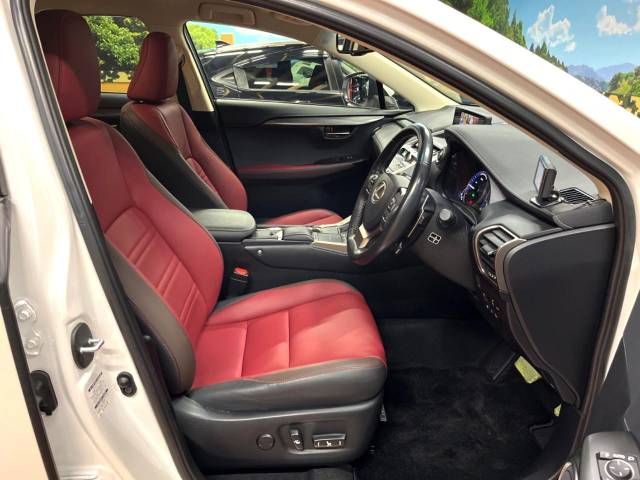 Lexus NX 2018-06 189114-8