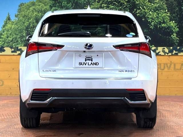 Lexus NX 2018-06 189114-15