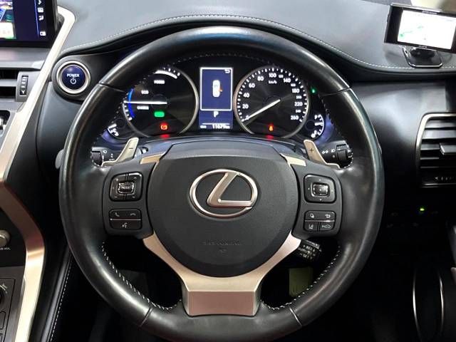 Lexus NX 2018-06 189114-11