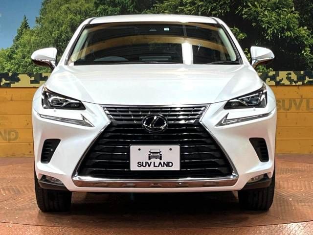 Lexus NX 2018-06 189114-14