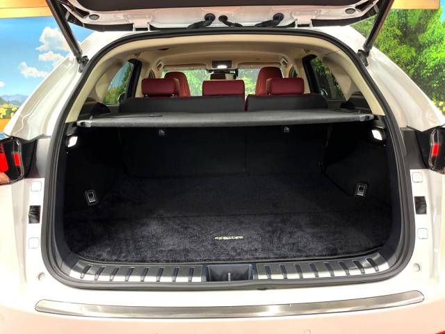 Lexus NX 2018-06 189114-10