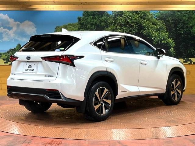 Lexus NX 2018-06 189114-17