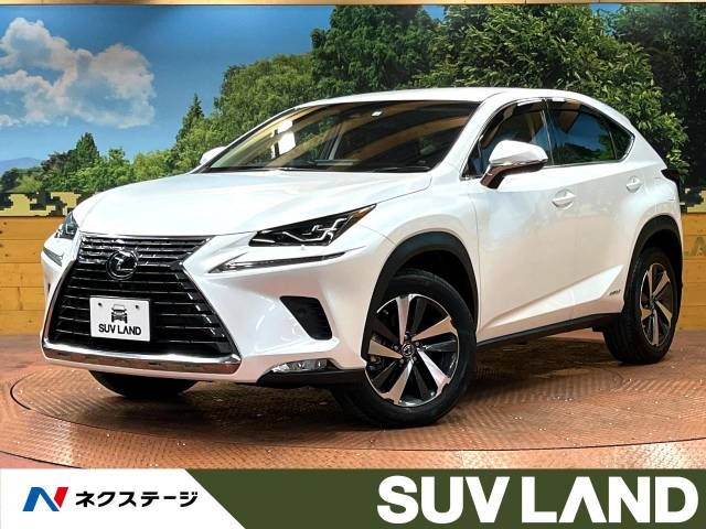 Lexus NX 2018-06 189114-0