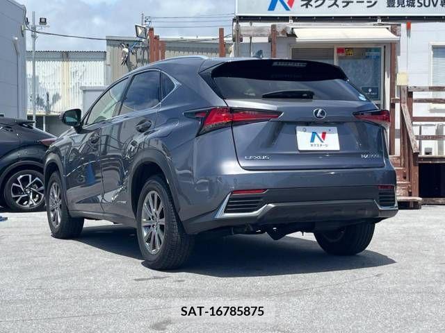 Lexus NX 2019-03 362941-19