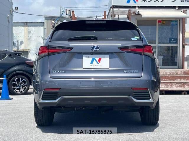 Lexus NX 2019-03 362941-18
