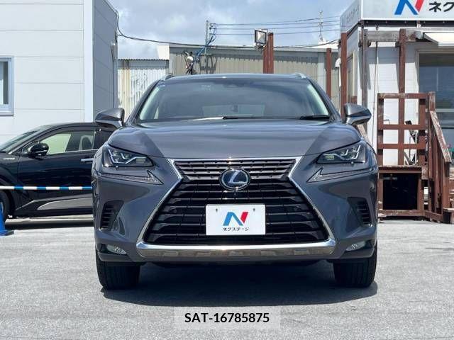 Lexus NX 2019-03 362941-17