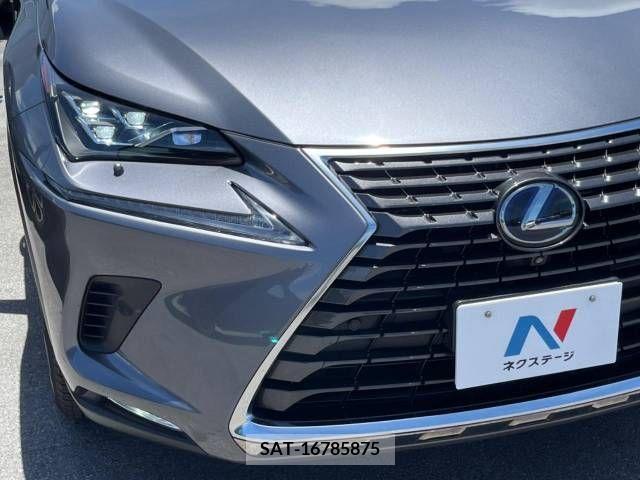 Lexus NX 2019-03 362941-15