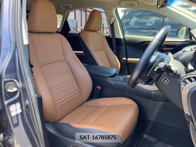 Lexus NX 2019-03 362941-11