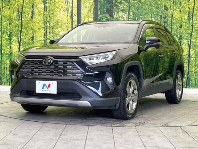 Toyota RAV4 2019-05 27959-16