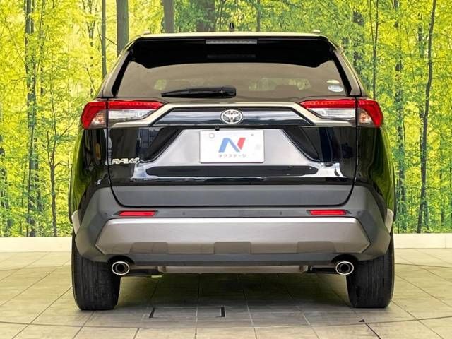 Toyota RAV4 2019-05 27959-15