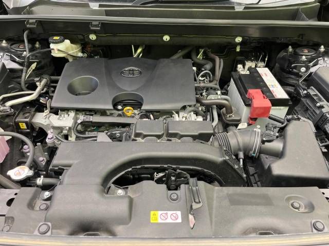 Toyota RAV4 2019-05 27959-19