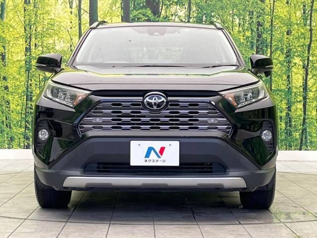 Toyota RAV4 2019-05 27959-14