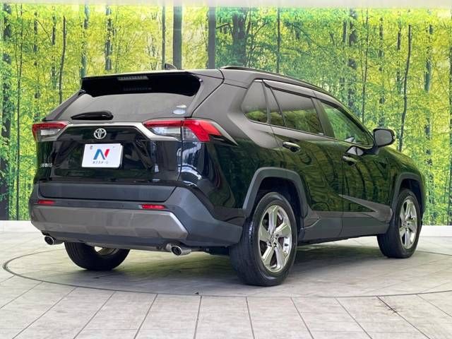 Toyota RAV4 2019-05 27959-17