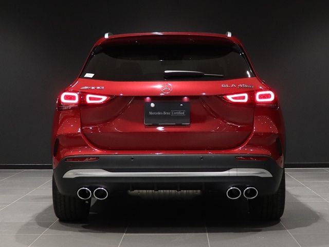 Amg A-Class 2021-12 24497-12