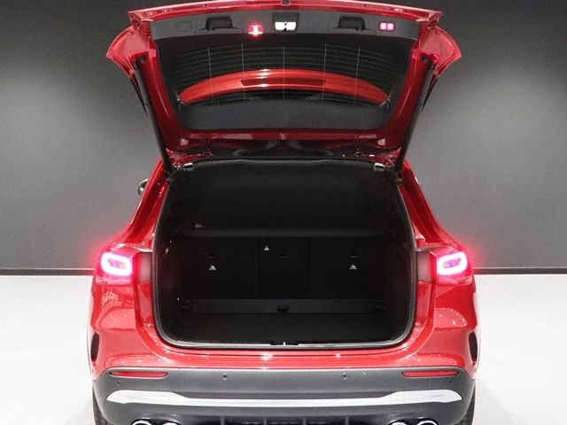 Amg A-Class 2021-12 24497-16