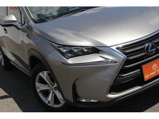 Lexus NX 2015-05 4651-12