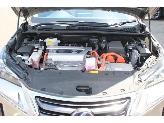 Lexus NX 2015-05 4651-18