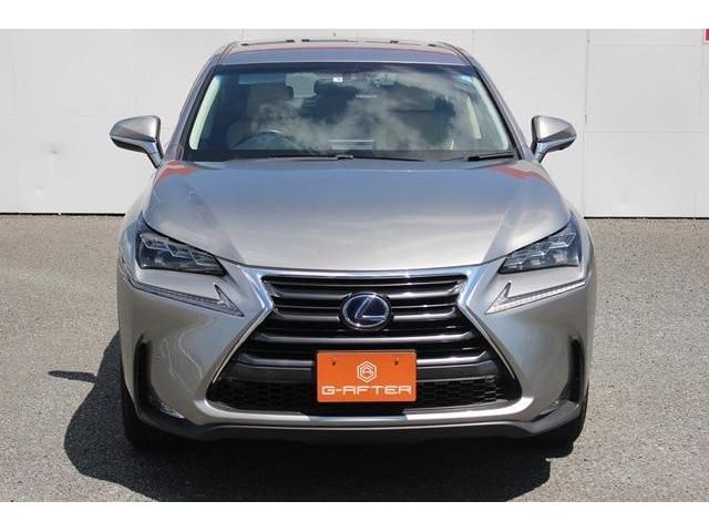 Lexus NX 2015-05 4651-7