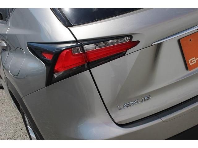 Lexus NX 2015-05 4651-13