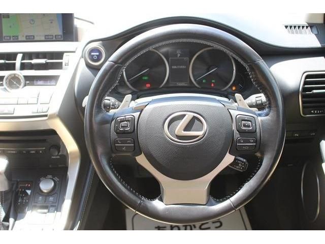 Lexus NX 2015-05 4651-16