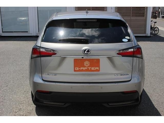 Lexus NX 2015-05 4651-9