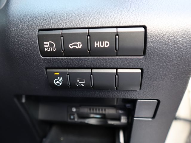 Lexus RX 2021-08 196740-20