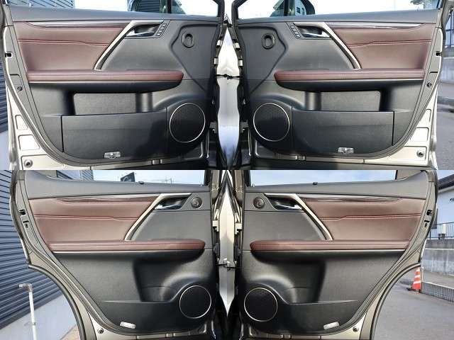 Lexus RX 2021-08 196740-26