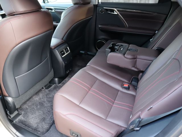 Lexus RX 2021-08 196740-11