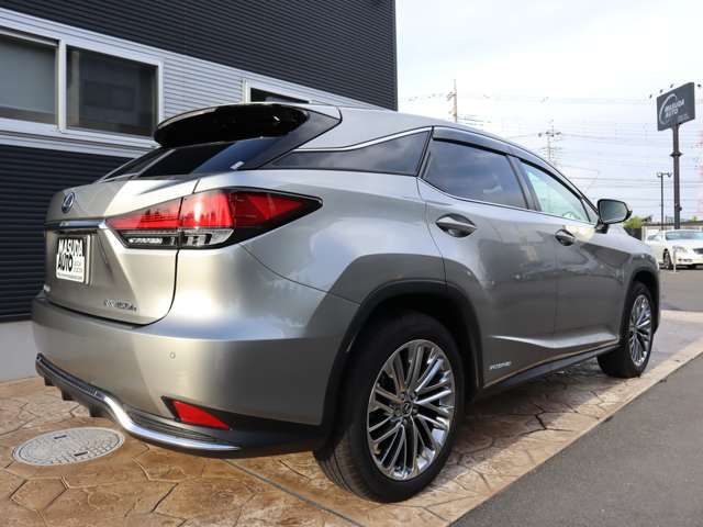 Lexus RX 2021-08 196740-6