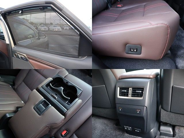 Lexus RX 2021-08 196740-23