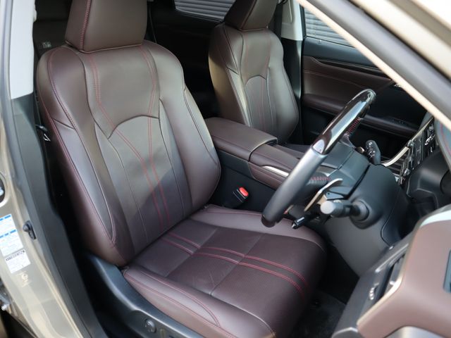 Lexus RX 2021-08 196740-8