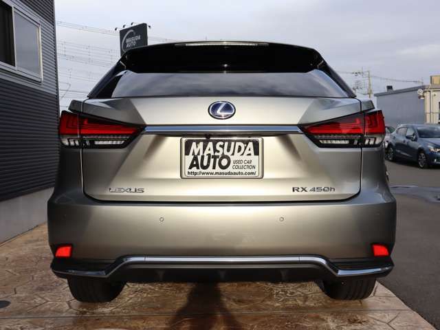Lexus RX 2021-08 196740-5