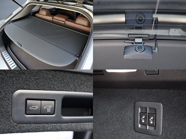 Lexus RX 2021-08 196740-24
