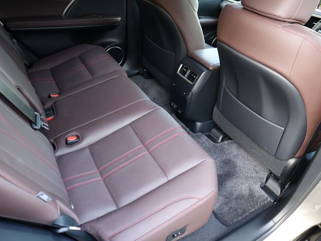 Lexus RX 2021-08 196740-10