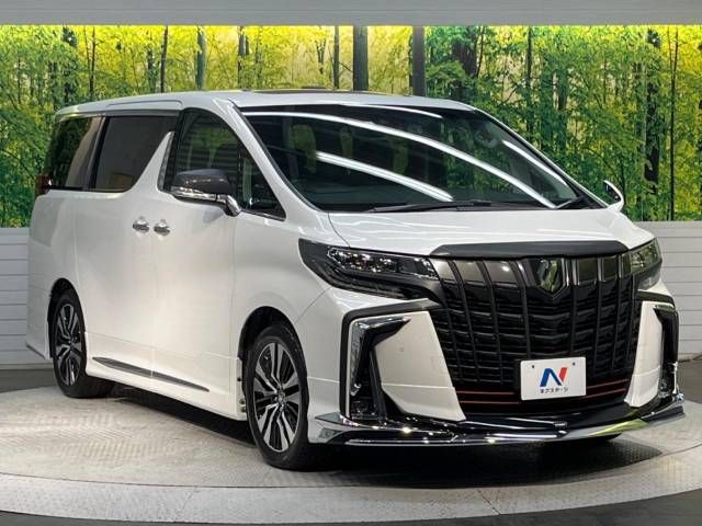 Toyota ALPHARD 2020-11 12499-17