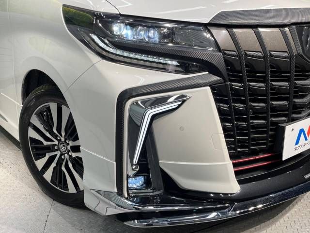 Toyota ALPHARD 2020-11 12499-13
