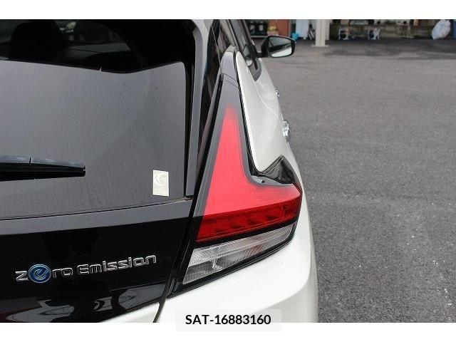 Nissan LEAF 2019-06 386002-11