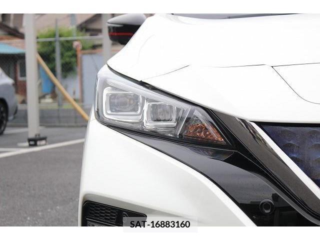 Nissan LEAF 2019-06 386002-10