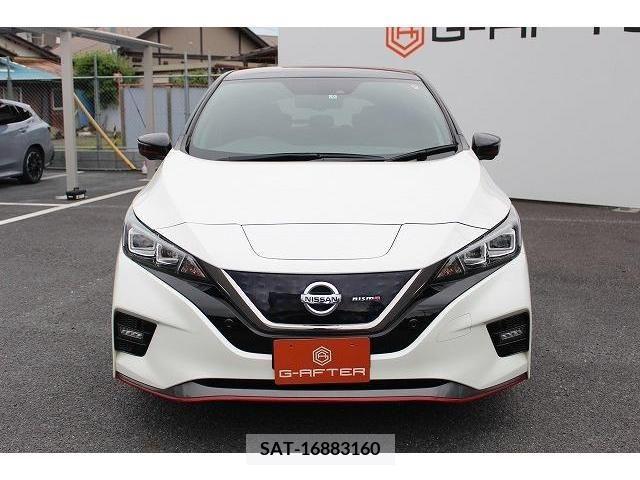 Nissan LEAF 2019-06 386002-6