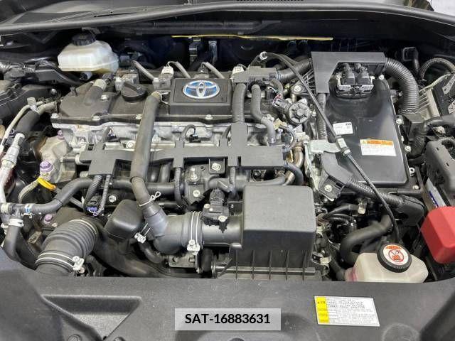 Toyota C-HR 2017-05 342412-18