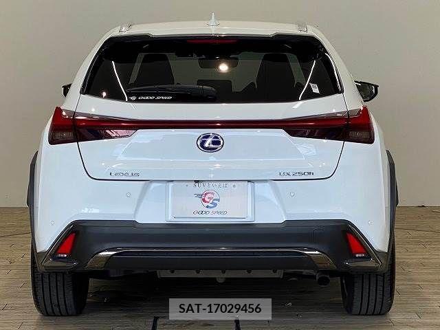 Lexus UX 2019-05 363065-12
