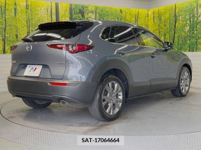 Mazda CX-30 2019-12 379312-17