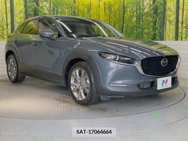 Mazda CX-30 2019-12 379312-16