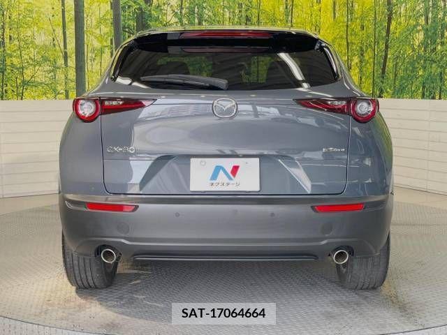 Mazda CX-30 2019-12 379312-15