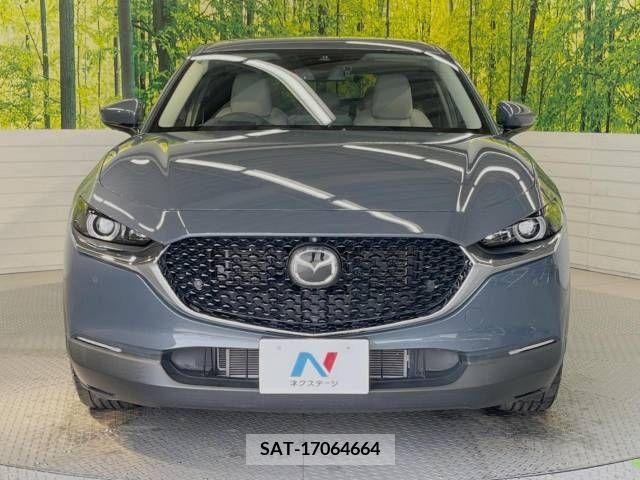 Mazda CX-30 2019-12 379312-14