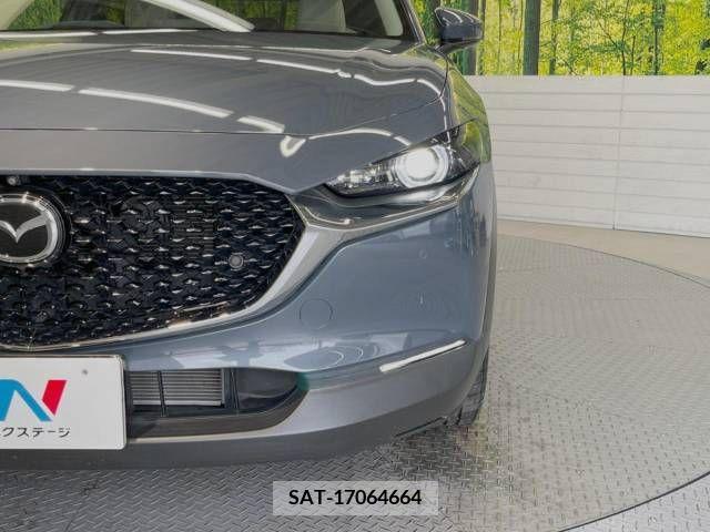 Mazda CX-30 2019-12 379312-12